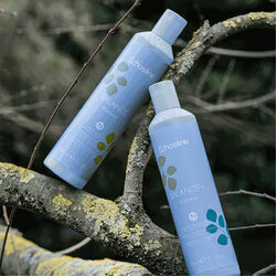 echosline-balance-shampoo-300ml-seboregulejoss-sampuns-taukainiem-matiem